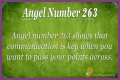 263 Angel Number Meaning - Pulptastic