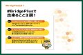 BridgePlus Manual