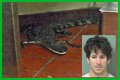 Florida Man Throws Crocodile In Drive Thru