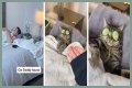 TikTok Is Obsessed With This Guy and His Cat Having a Relaxing Spa Day Together